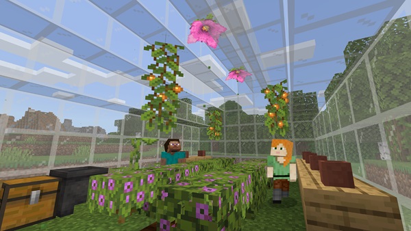 Minecraft
